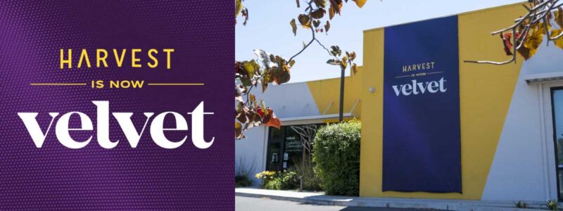 Velvet Brings Its Award-Winning Dispensary Experience to Napa